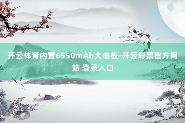 开云体育内置6550mAh大电板-开云彩票官方网站 登录入口
